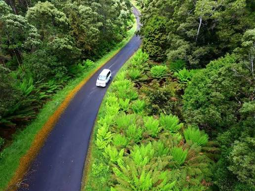 Tarkine drive, Tasmania