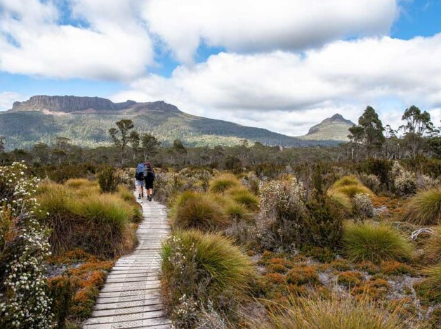 Watersmeet Walk, Tasmania